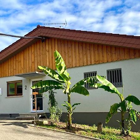 Pension Am Hohberghof Dielheim Exteriör bild