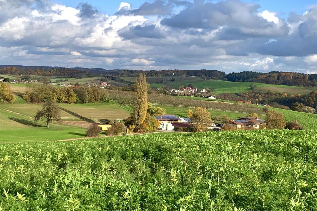 Pension Am Hohberghof Dielheim Exteriör bild