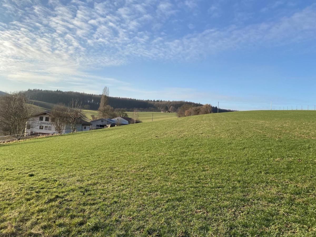 Pension Am Hohberghof Dielheim Exteriör bild